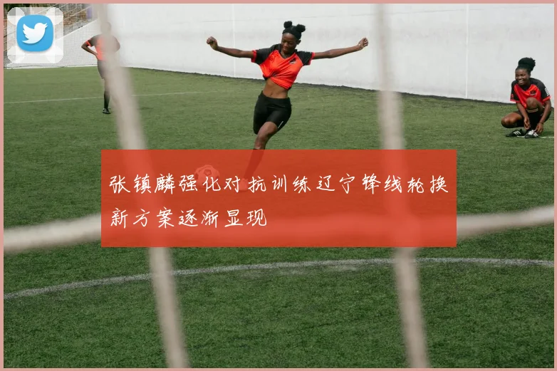张镇麟强化对抗训练辽宁锋线轮换新方案逐渐显现